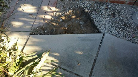 Concrete trimmed